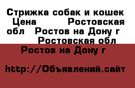 Стрижка собак и кошек › Цена ­ 800 - Ростовская обл., Ростов-на-Дону г.  »    . Ростовская обл.,Ростов-на-Дону г.